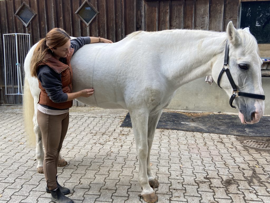 www.horsemag.ch